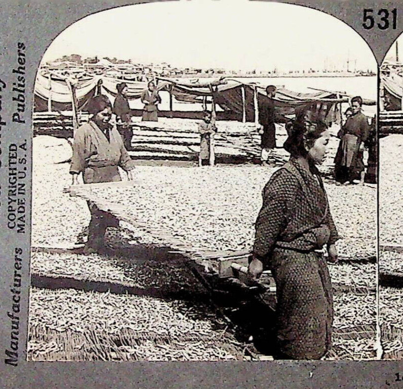 Vintage Peasant Drying Sardines Beppu Japan Photograph Keystone Stereoview Card