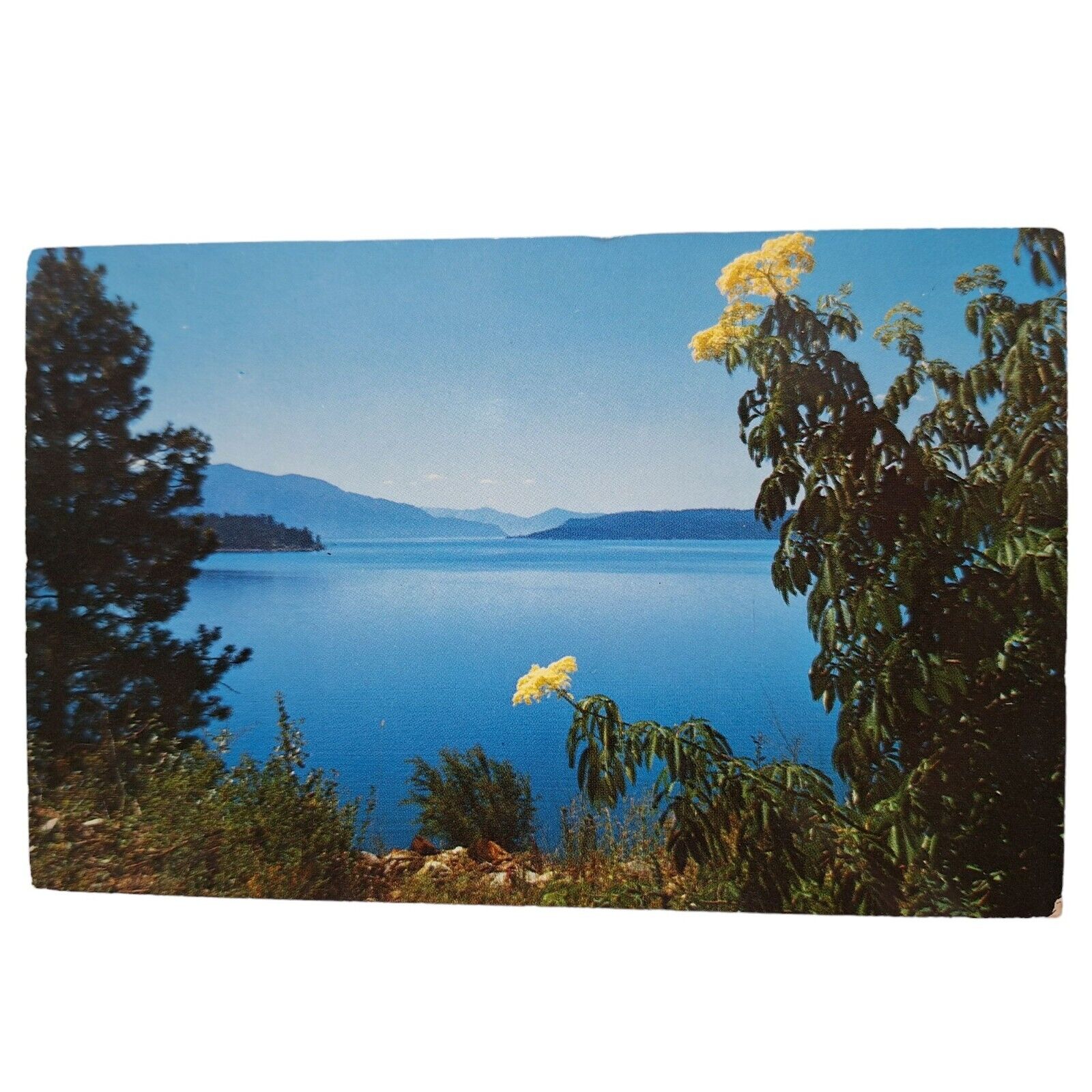 Postcard Lake Pend Oreille East Of Sandpoint Idaho Chrome Unposted