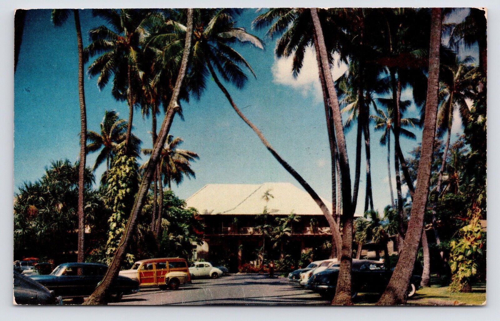 c1950~Halekulani Hotel~Waikiki Beach~Honolulu Hawaii~VTG Postcard