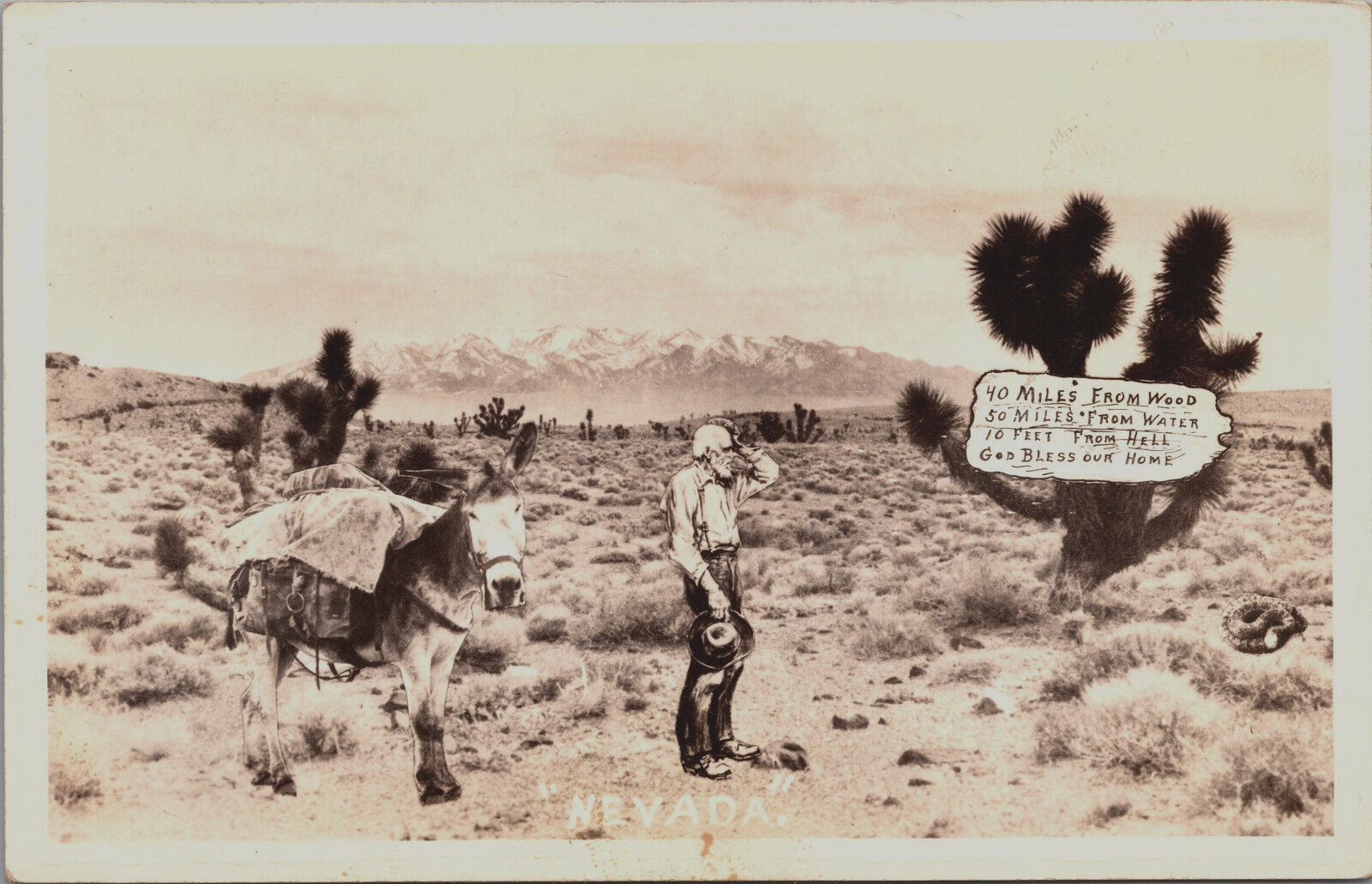 Nevada Western Prospector Cowboy Art Card Real Photo RPPC Vtg Postcard