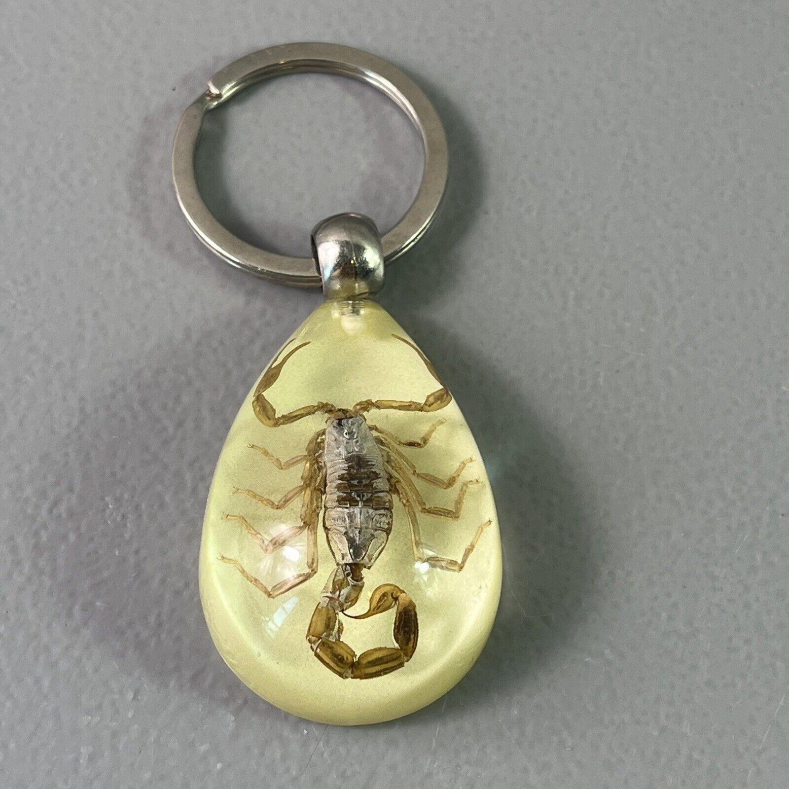 Real Scorpion Keychain/Keyring in Amber Resin Gold Scorpion Glows Scorpio