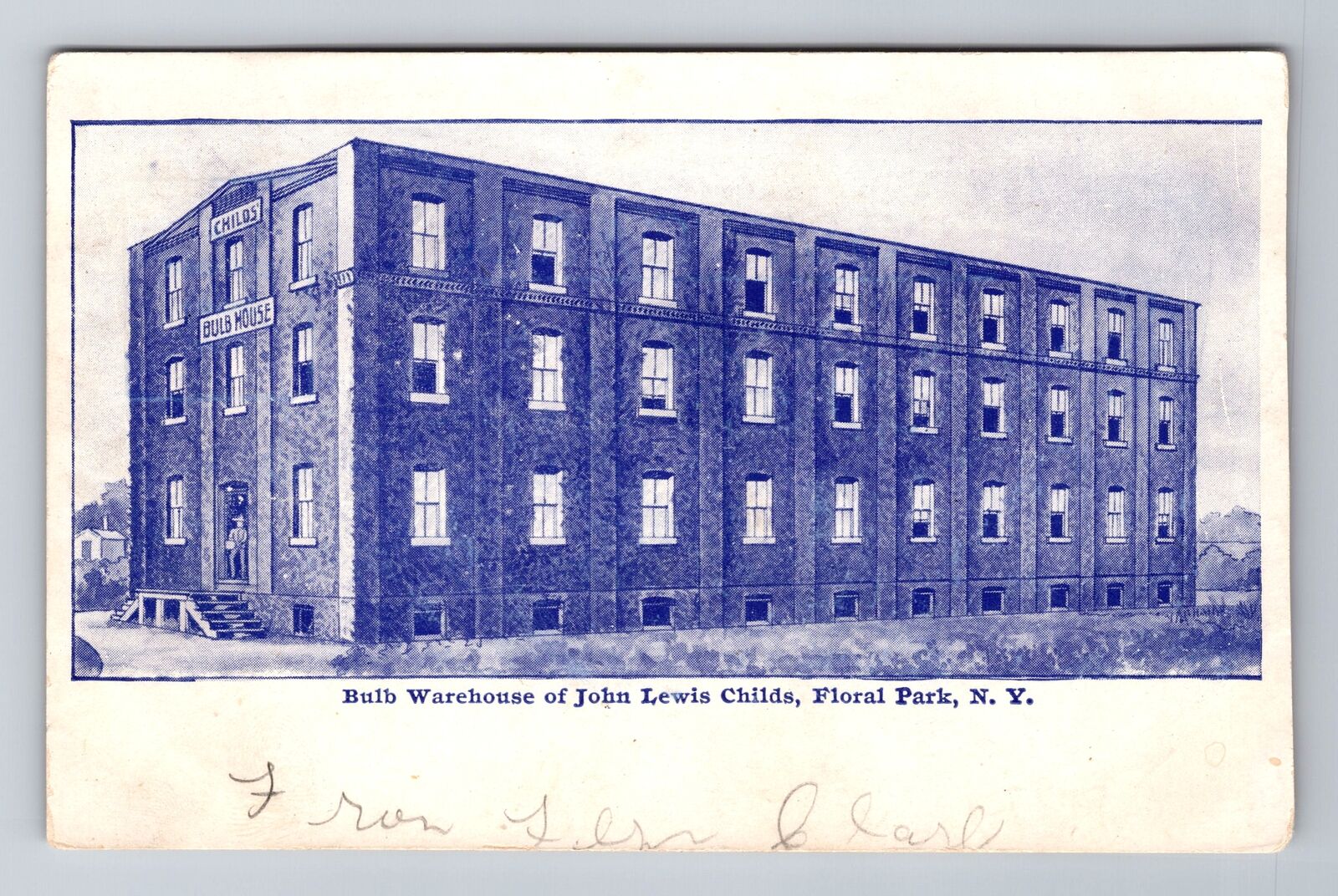 Floral Park NY-New York, Bulb Warehouse of John Lewis Childs, Vintage Postcard
