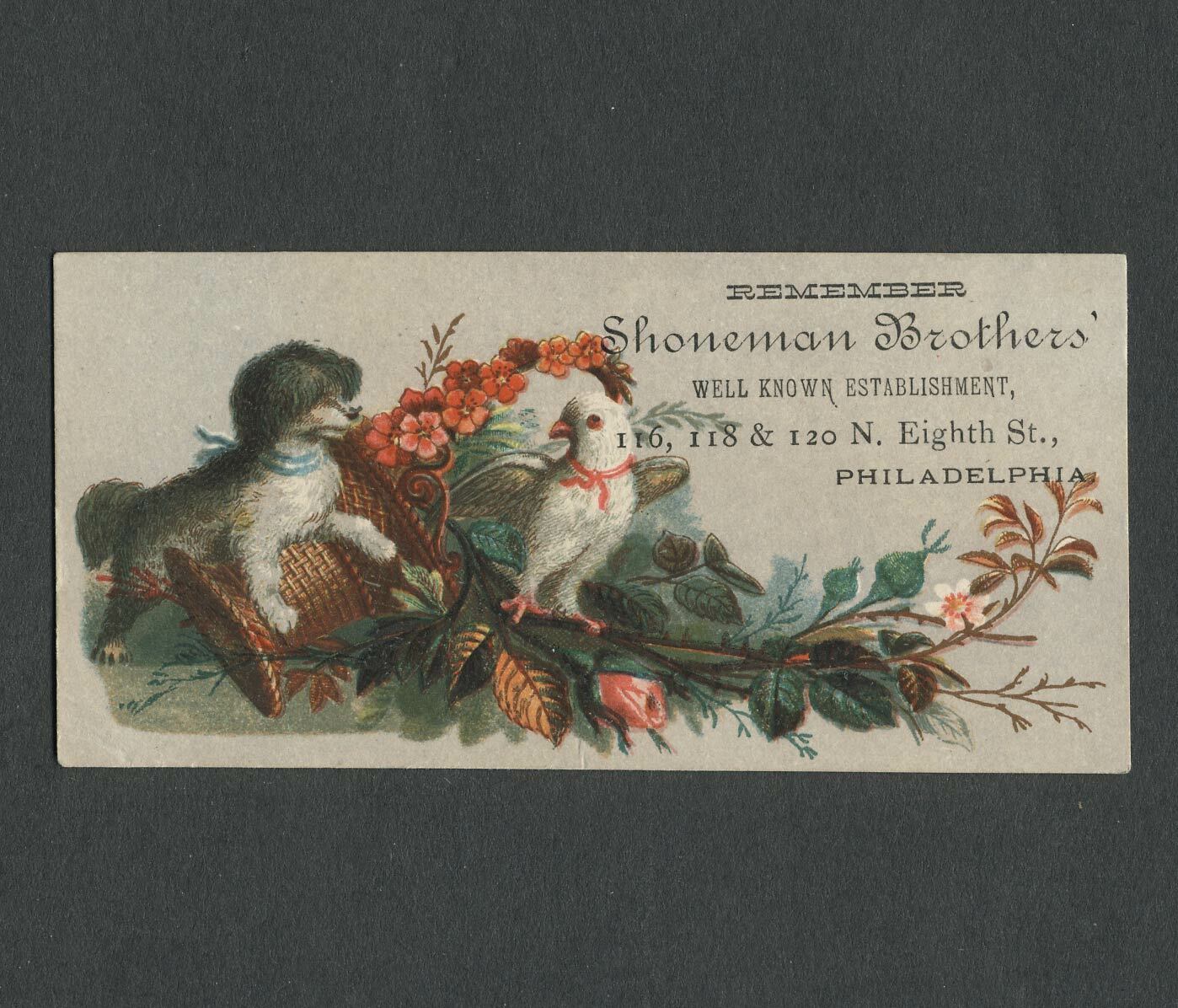 Victorian Trade Card SHONEMAN BROTHERS Philadelphia, Poodle Dog & White Parakeet