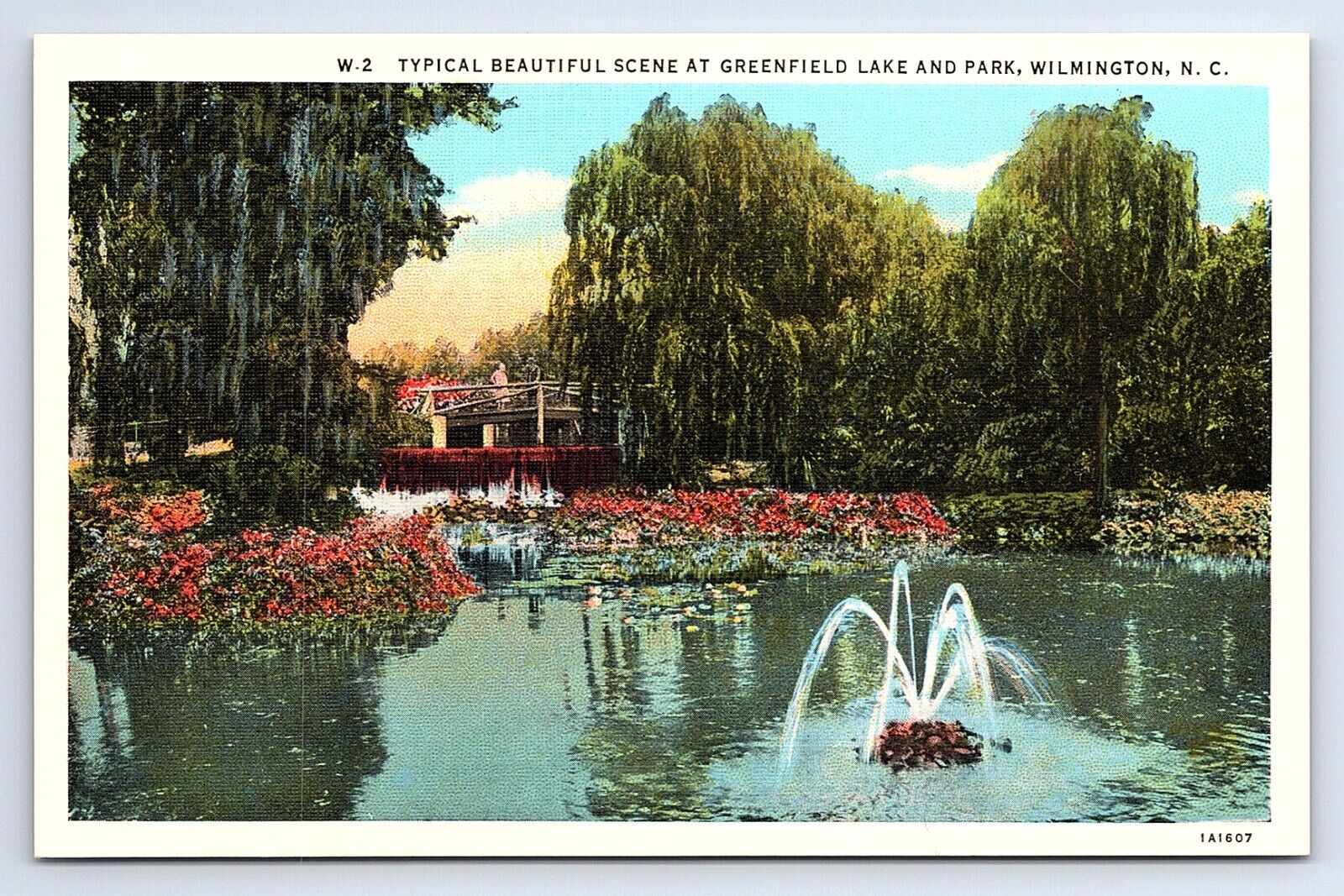 Postcard Greenfield Lake and Park, Wilmington North Carolina NC