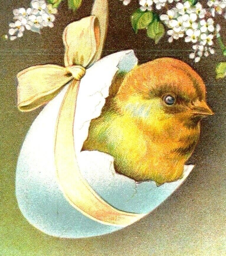 c1911 Antique Easter Postcard BB London Darling Chick In A Bow Wrapped Egg  A46