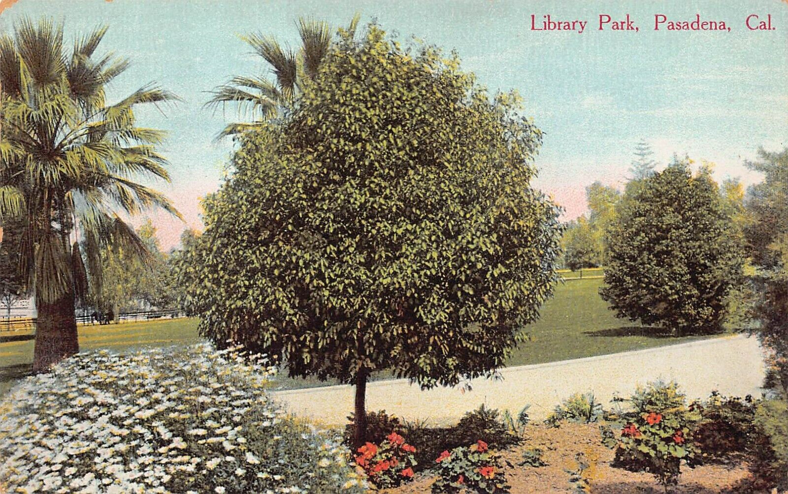 Pasadena CA California Library Park Downtown near Los Angeles Vtg Postcard B28