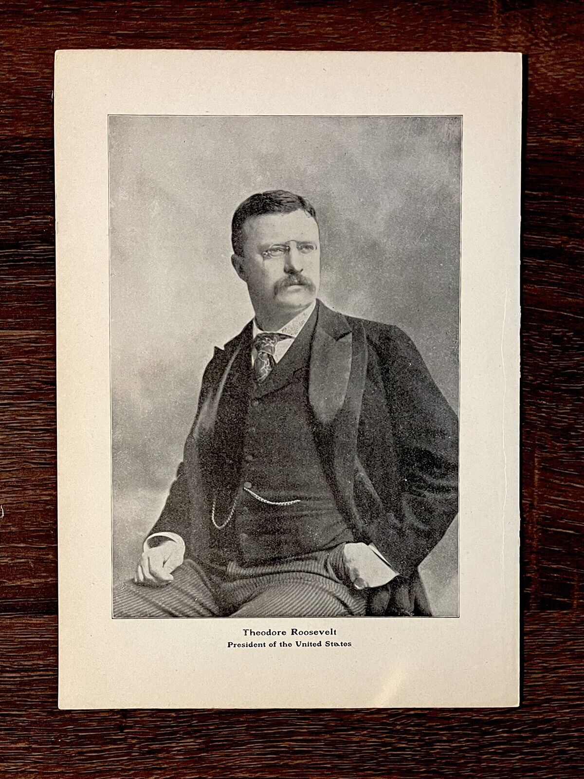 1900s President Theodore Roosevelt Print