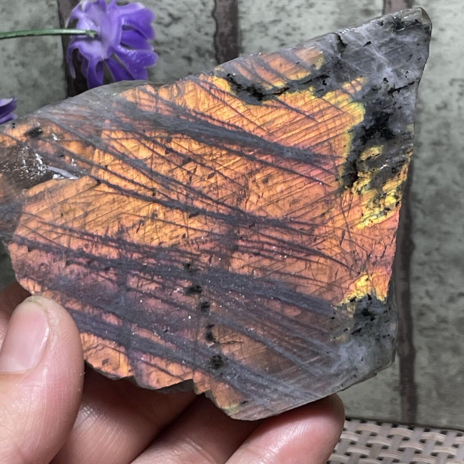 Natural Labradorite Crystal Rough Slab / Slice rock Madagascar   122g F28