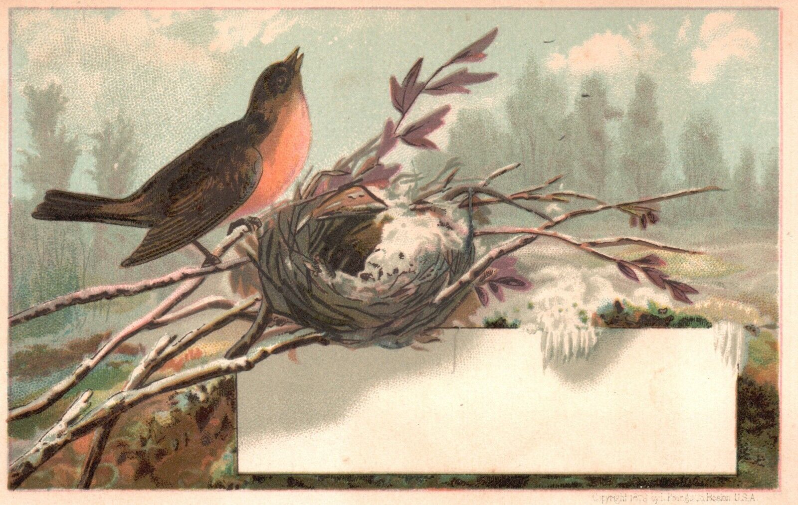 1880s-90s Bird on Tree Limb with Nest in Winter