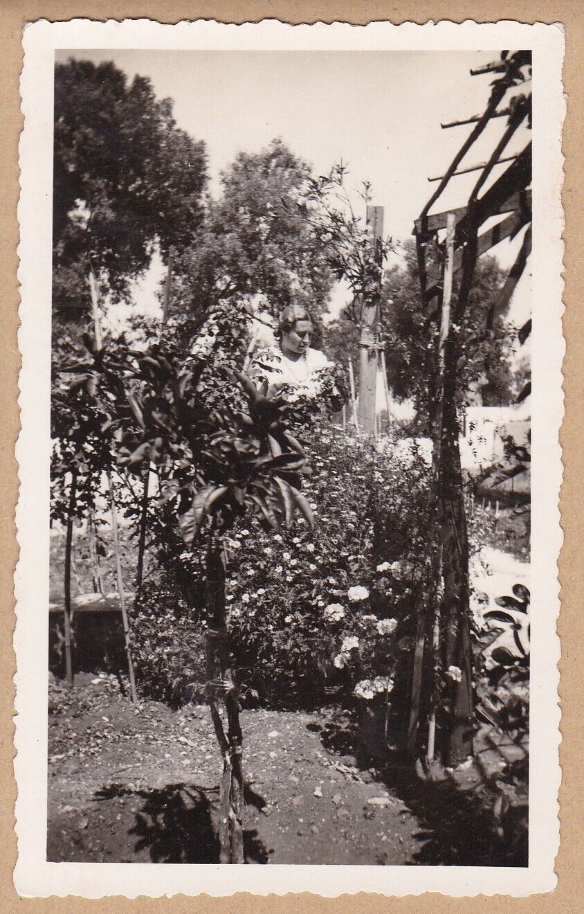 Beautiful c1935 Photograph Lady In Garden \