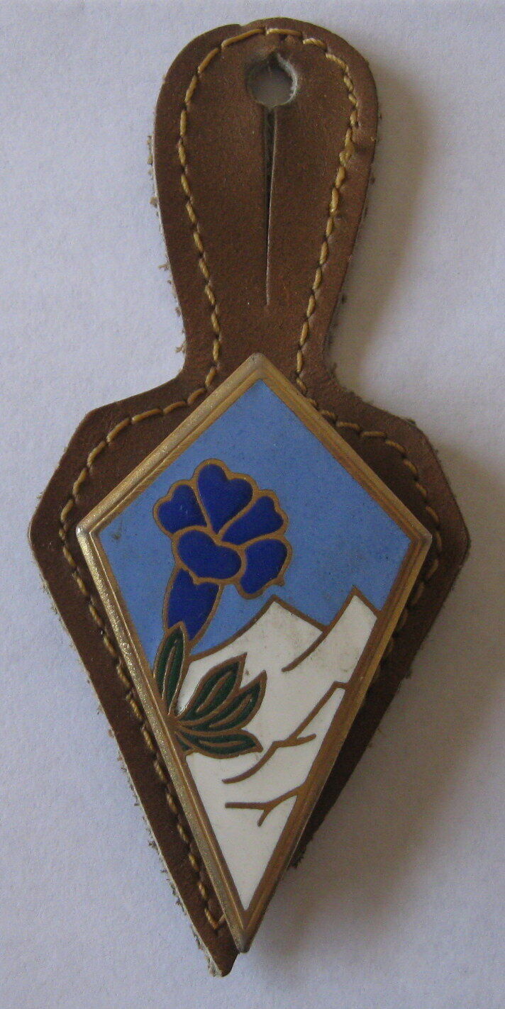 FRENCH ARMY ALPINE BADGE. MADE BY ARTRUS BERTRAND, PARIS. 30x50 mm