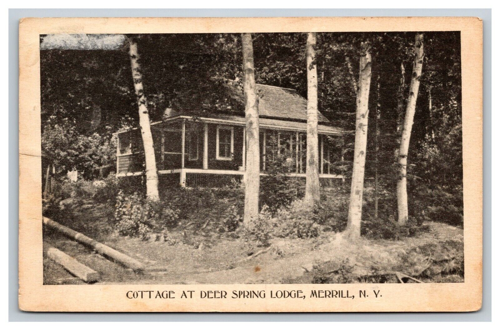 Cottage At Deer Spring Lodge, Merrill New York NY Postcard