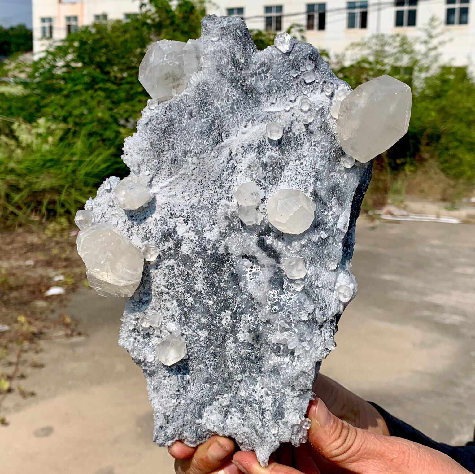 2.2LB Natural Transparent Fluorescent Calcite Crystal Quartz Mineral Samples