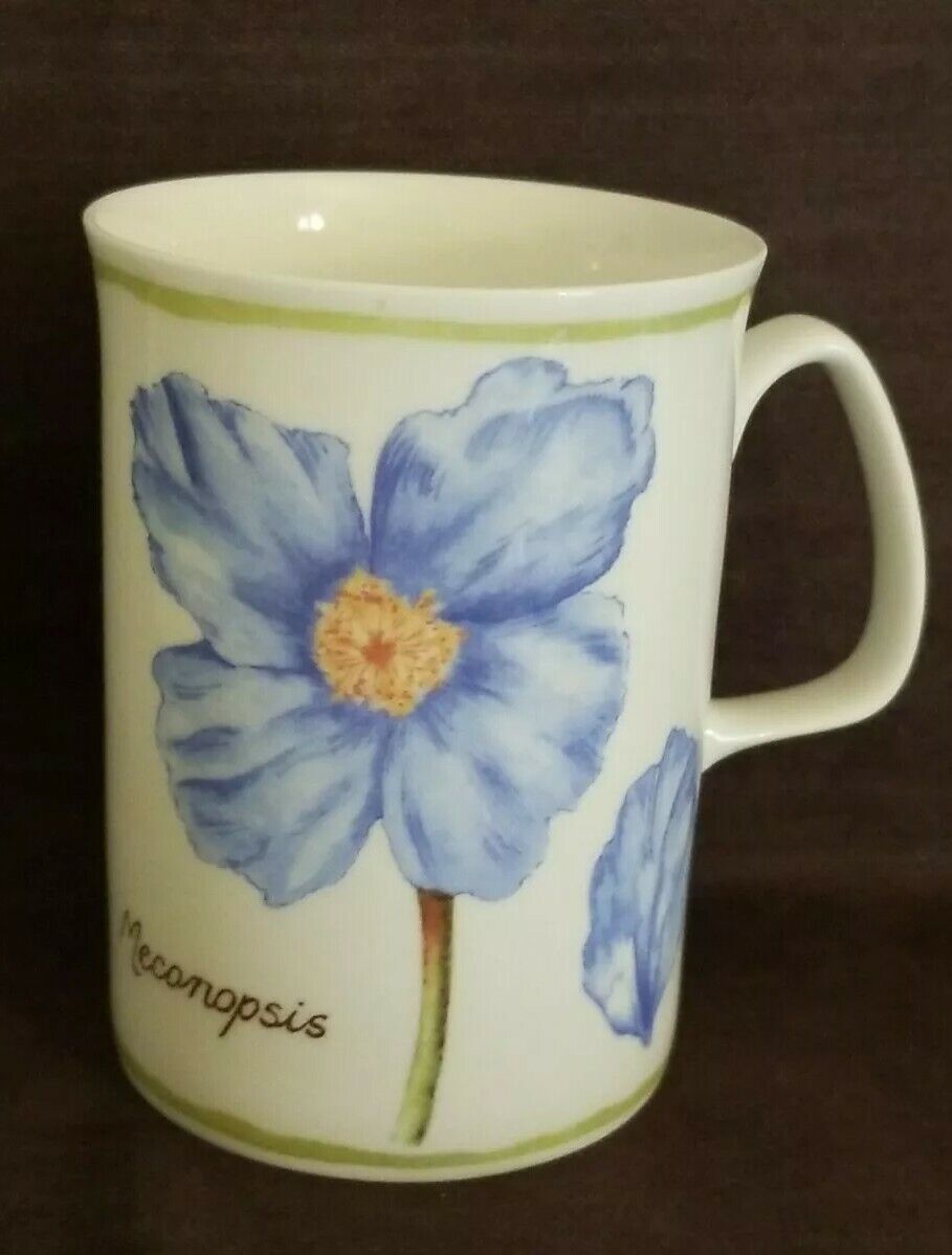 Rose of England Authentic Tea Coffee Mug Fine Bone China Cup England, New