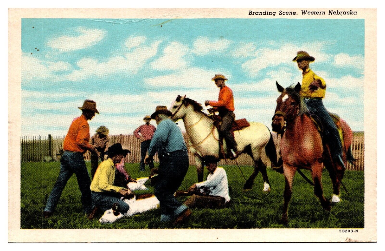 Vintage Branding Scene, Western NE, Postcard