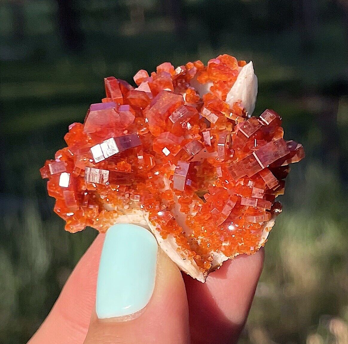 Vanadinite Large Bright Red Crystals On Matrix From Morocco   4.4 Cms