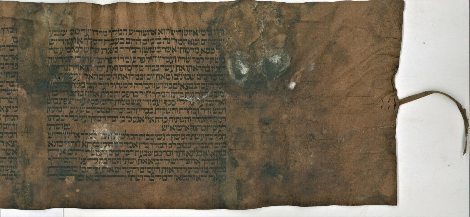 Judaica Antique Old Hand Written Megillah Deer Parchment Esther Scroll Purim.