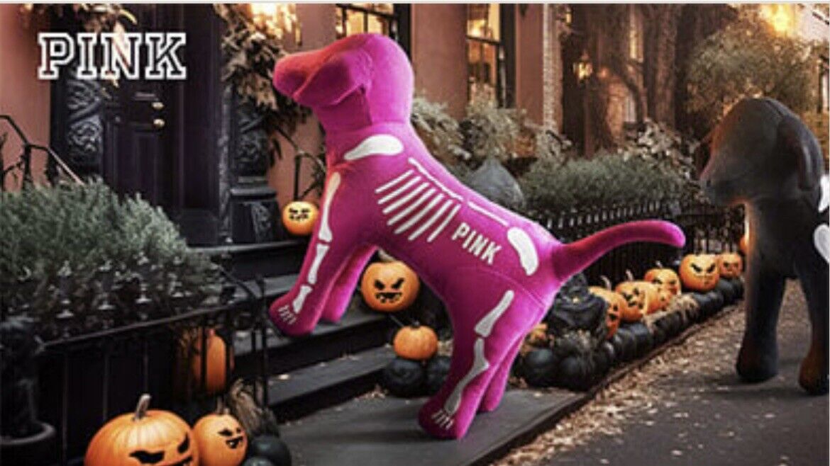 Victoria’s Secret VS PINK Halloween Mini Dog Skeleton Pink Puppy 2023 NWT