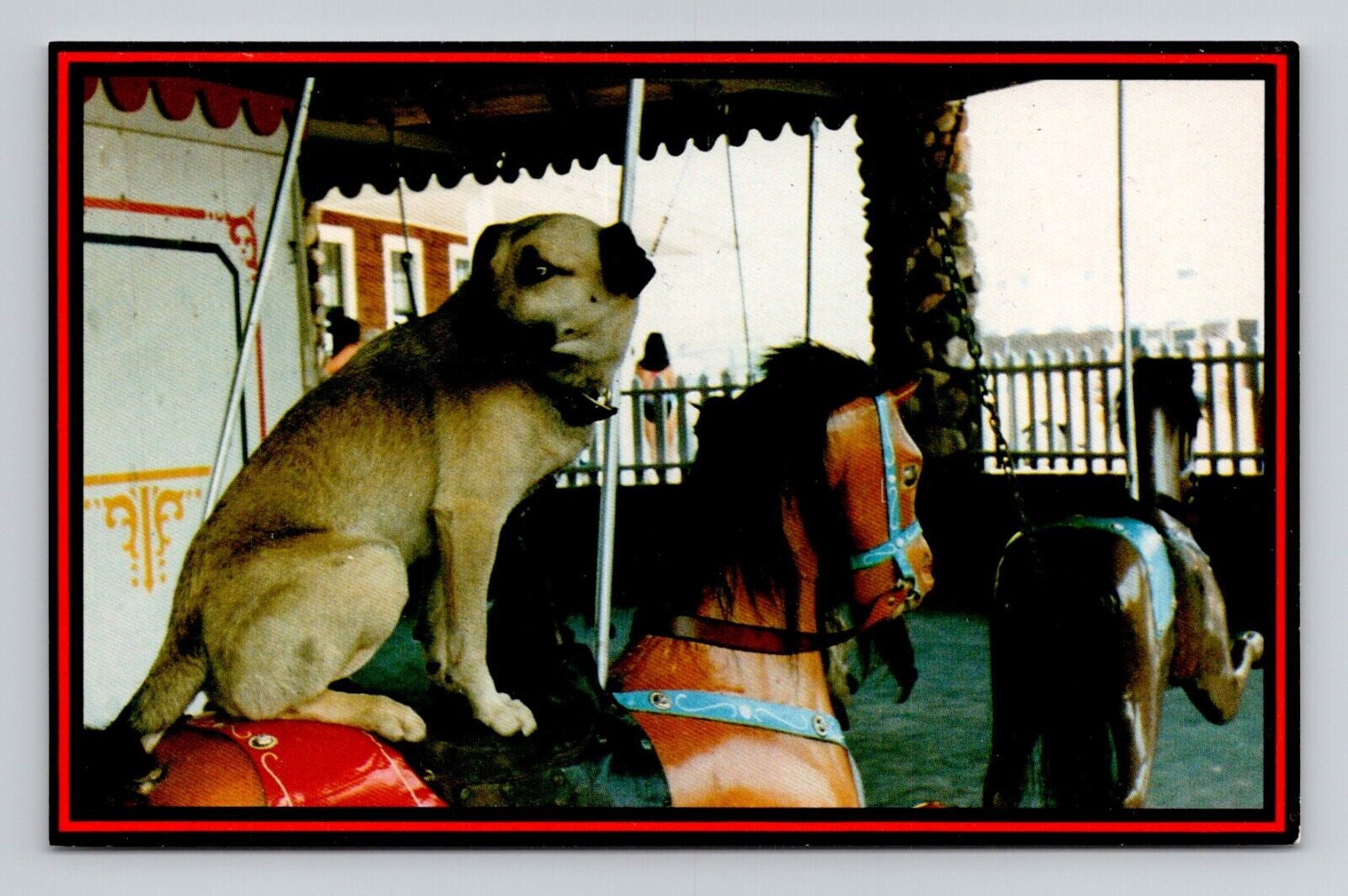 Postcard Dog Rides Carousel Watch Hill Rhode Island, Vintage Chrome N18
