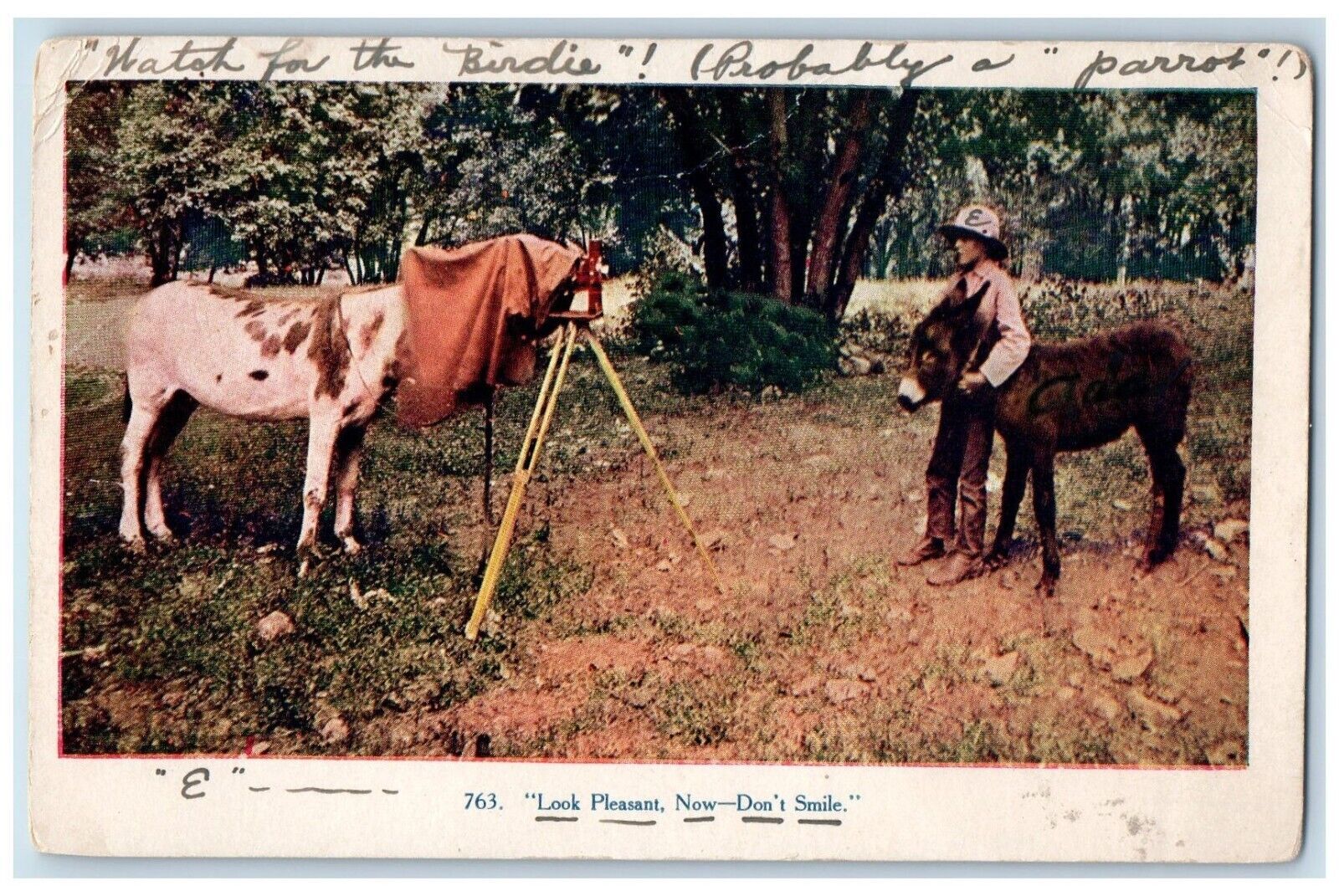 c1910\'s Horse Taking Photo Look Pleasant Now Don\'t Smile Posted Antique Postcard