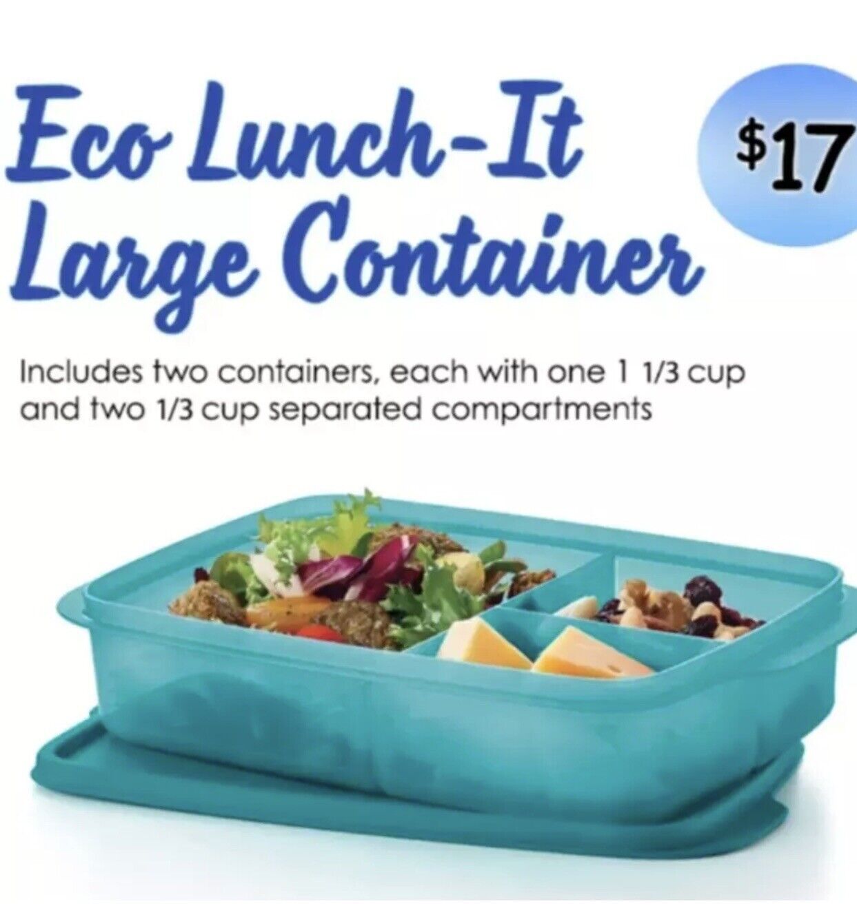 Tupperware Eco Large 1L Divided Teal Container Rectangular Lunch It