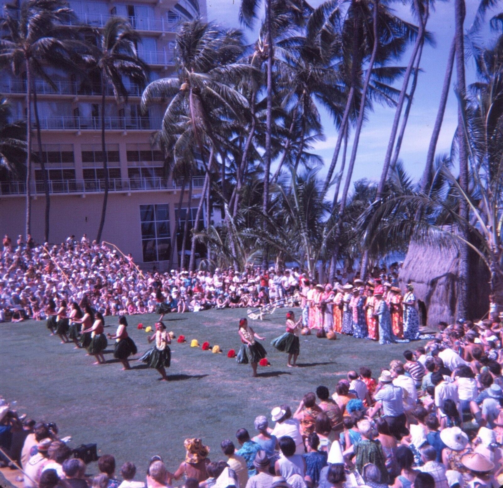 1967 Hawaiian Luau Dancers Crowd Palm Trees Hawaii #4 Vtg 126 Color Slide