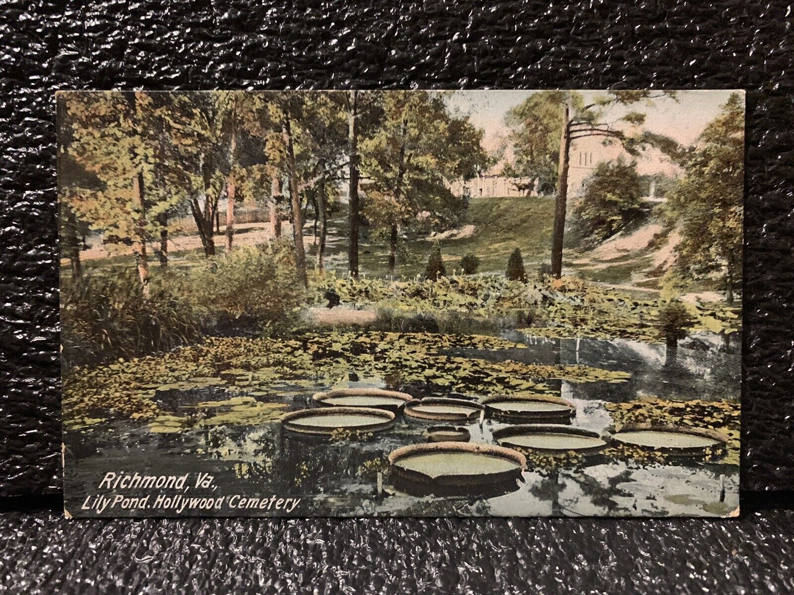 Richmond VA Lily Pond Hollywood Cemetery Vintage Postcard 