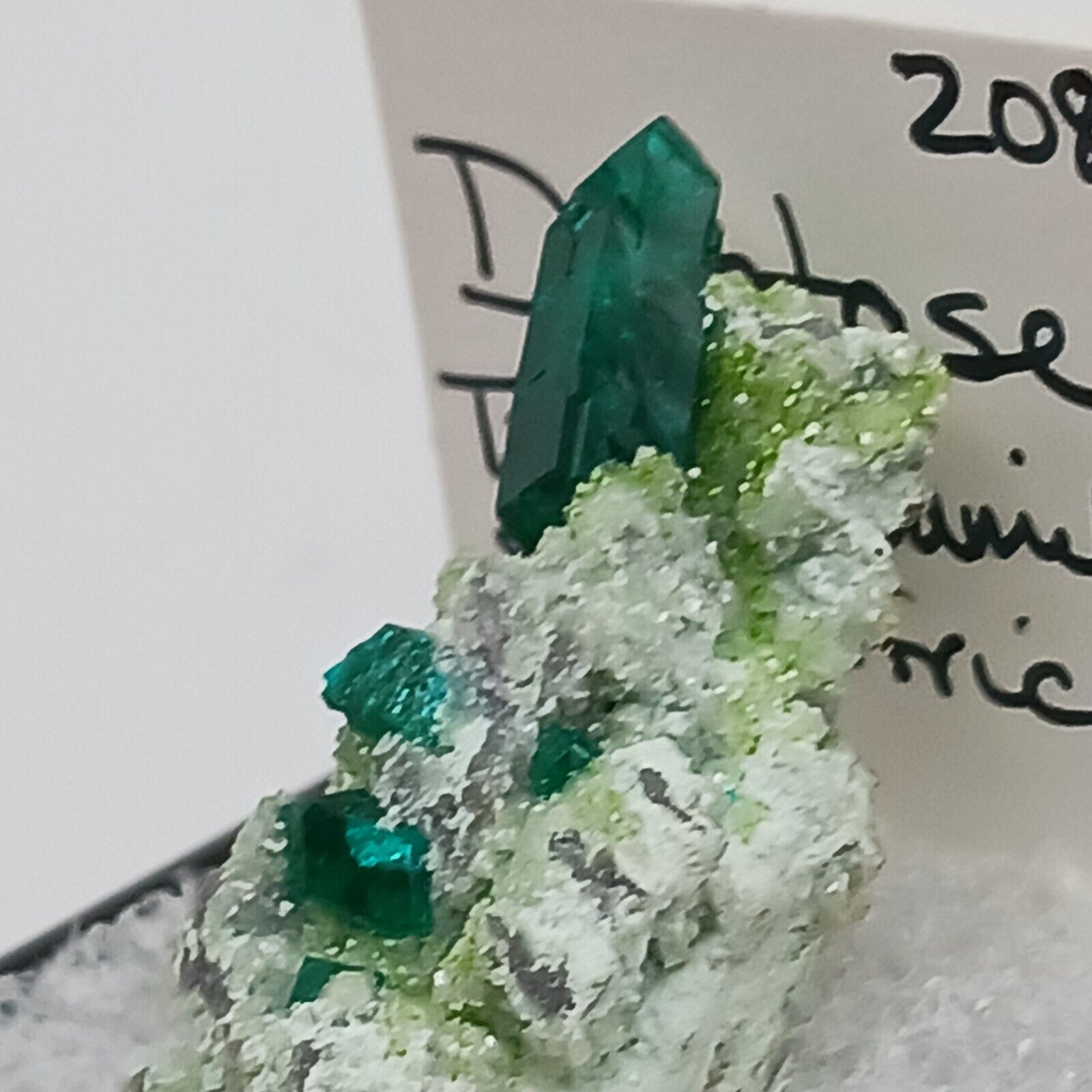 Excellent Bright Emerald Green Dioptase Thumbnail In Perky Box Tsumeb, Namibia