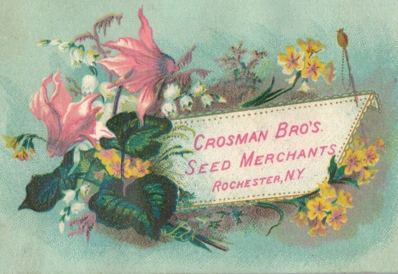 1870\'s Engraved Crosman Bros. Seed Merchants Victorian Trade Card P10