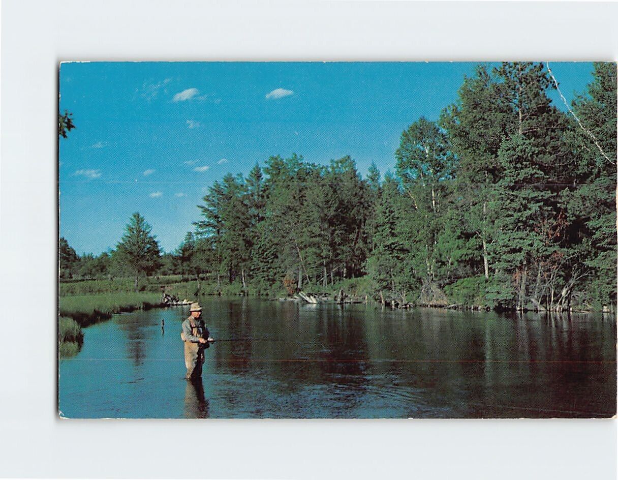 Postcard Greetings from Marshfield, Wisconsin
