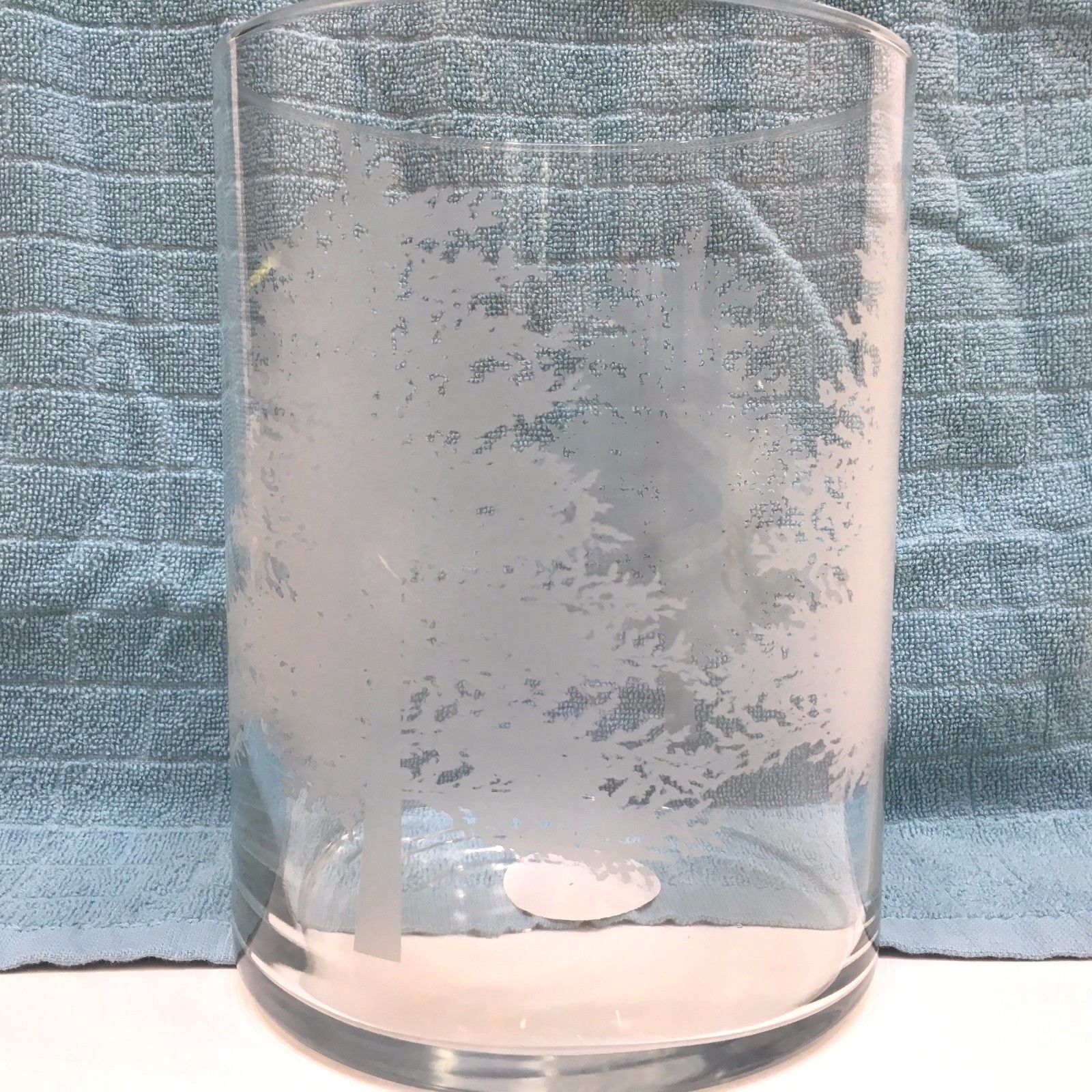 Holiday Home Inspirations Decorative Clear Glass CONTAINER W/ETCHED TREES 8\