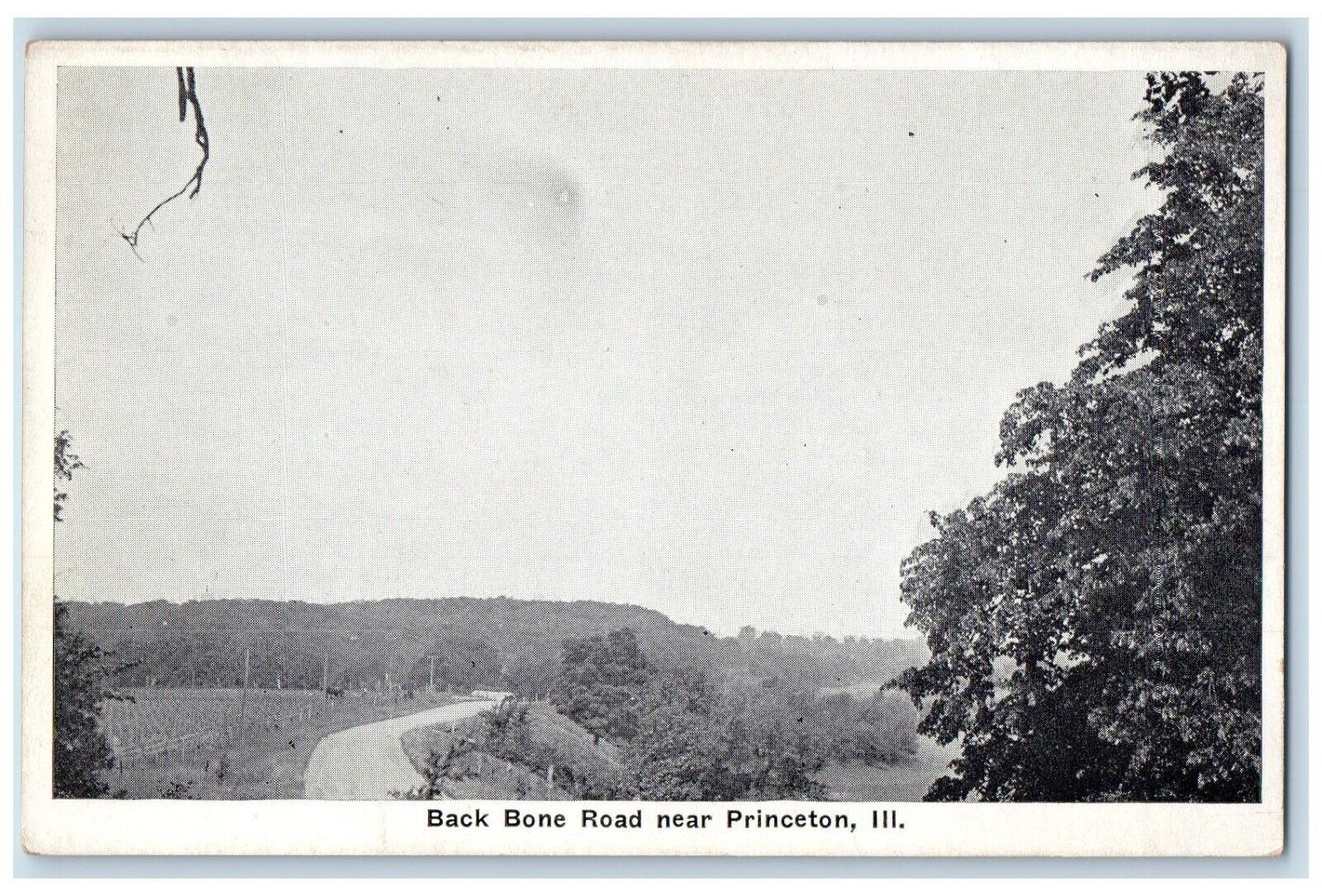 c1910\'s View Of Back Bone Road Near Princeton Illinois IL Antique Postcard