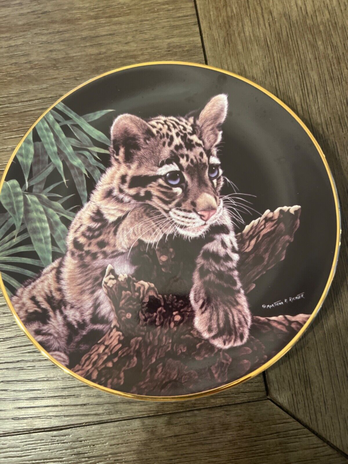 The Hamilton Collection Asian Clouded Leopard cub playe 1995