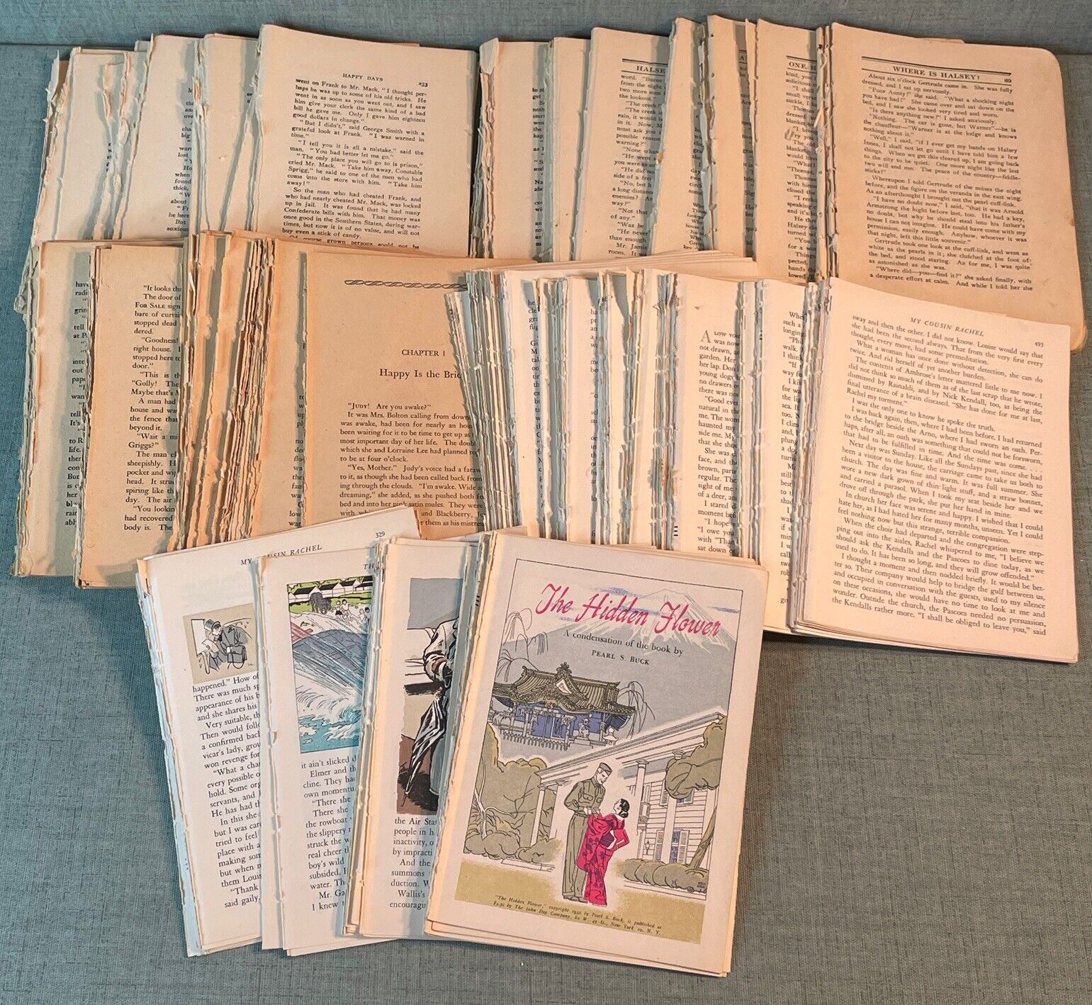 Old Vintage Book Pages Lot 1000+ pages for Junk Journal Ephemera Paper Crafts