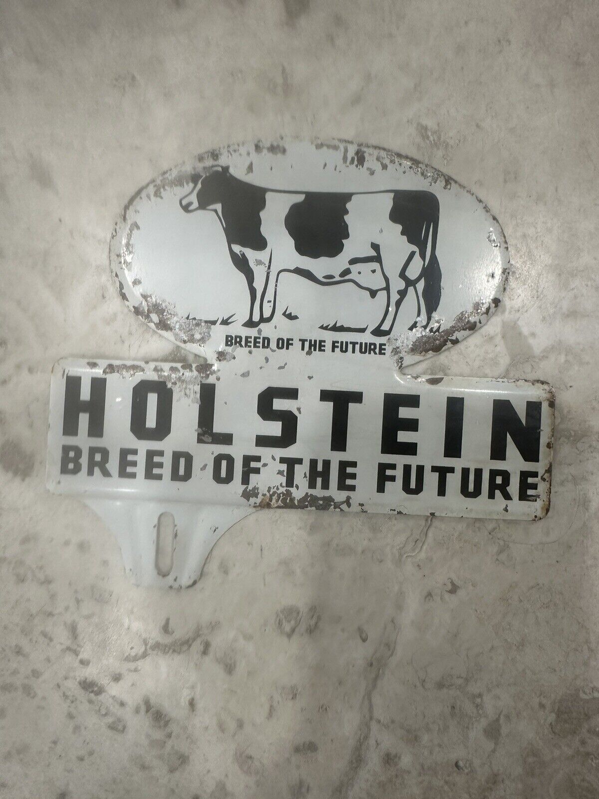 Vintage Holstein Cow License Plate Topper Original Tin Sign Breed Of The Future