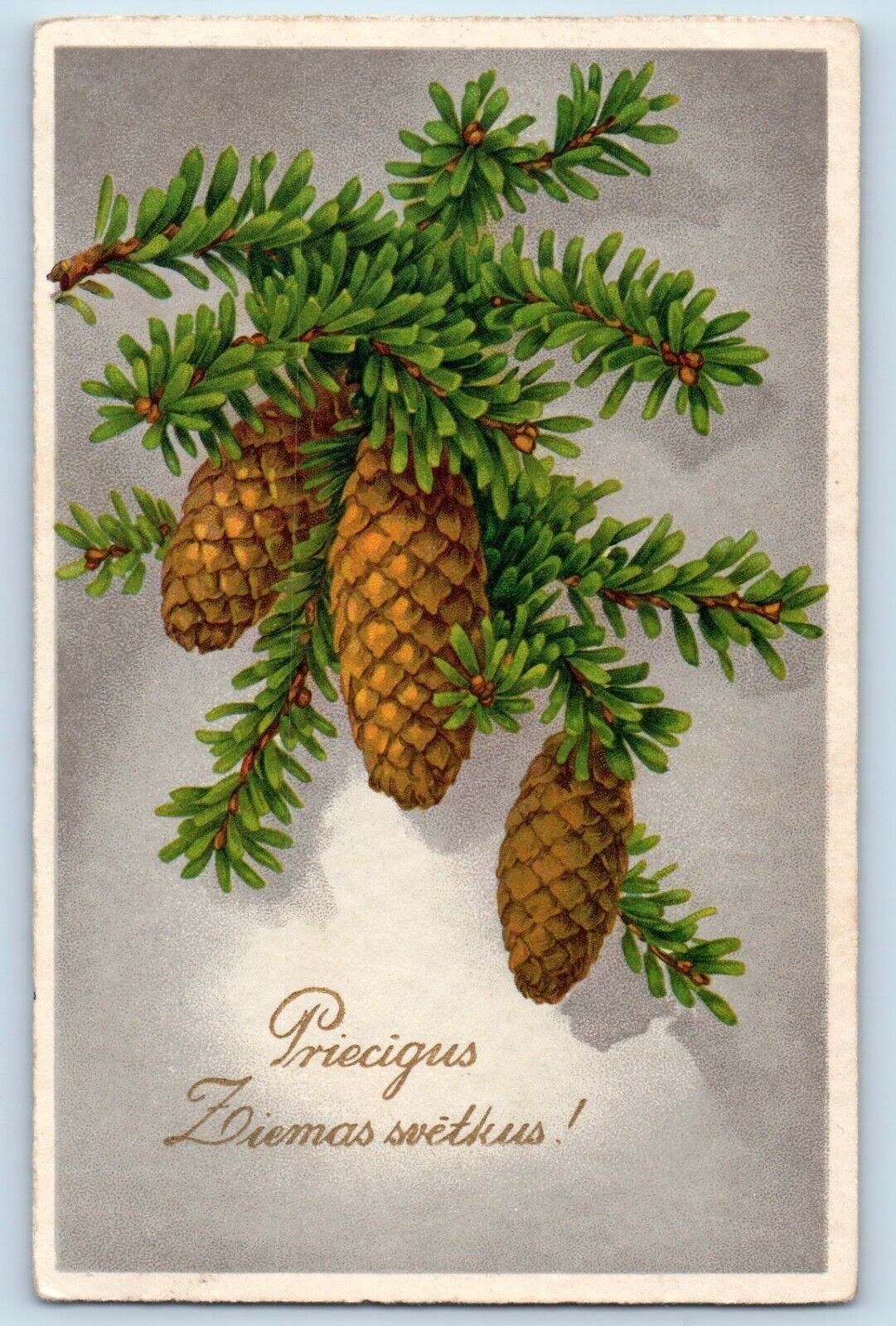 Latvia Postcard Christmas Pinecone View c1910's Posted Antique