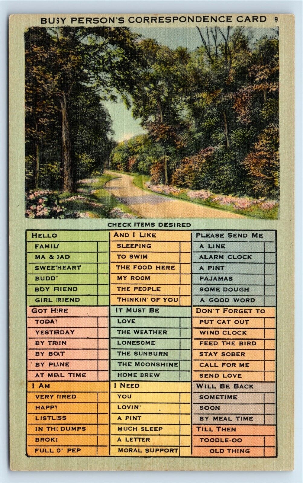 Postcard Wooded Path, Walkway - Busy Person\'s Correspondence Card G194