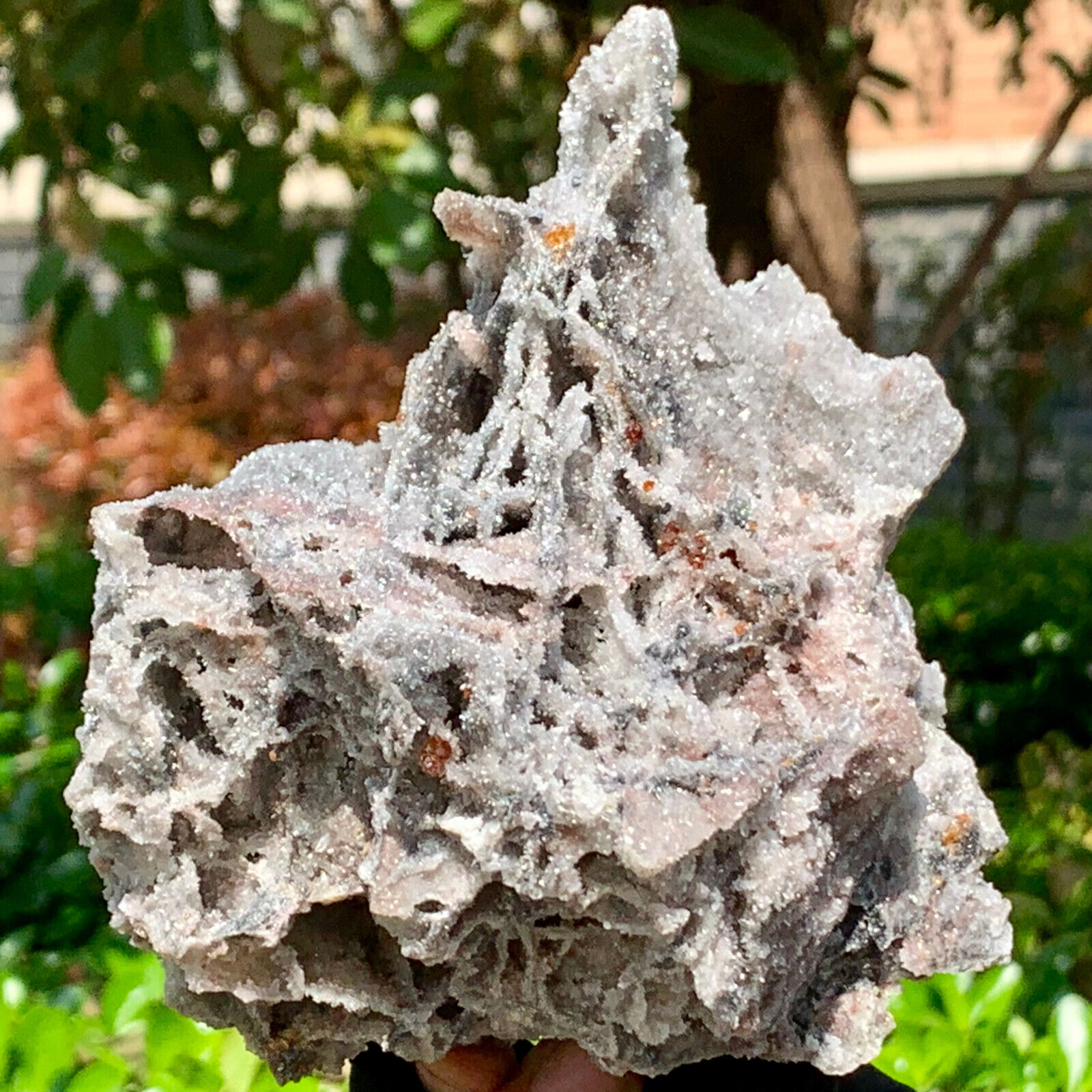 1.21LB  Natural sphalerite and garnet symbiotic mineral specimens