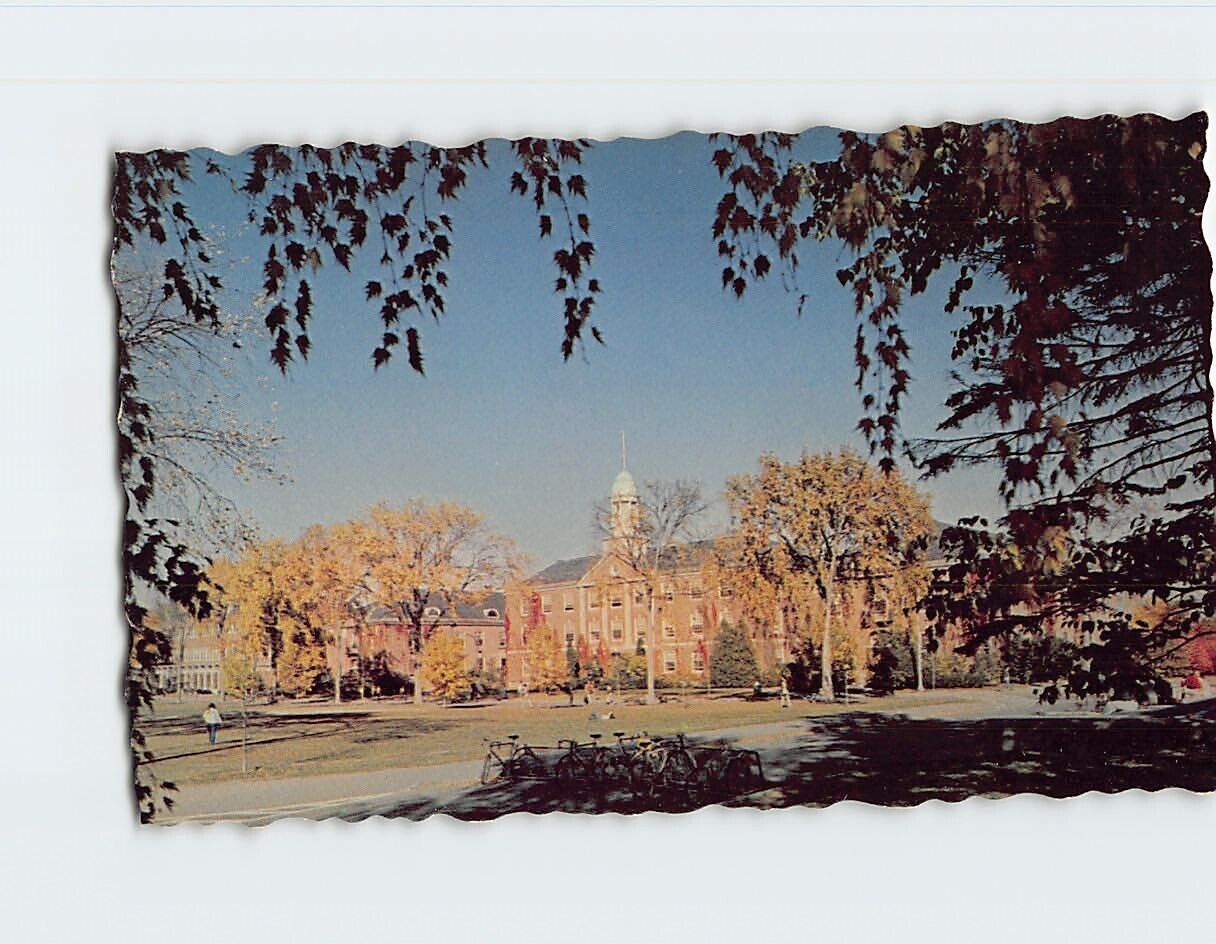 Postcard University Of Maine Orono Maine USA