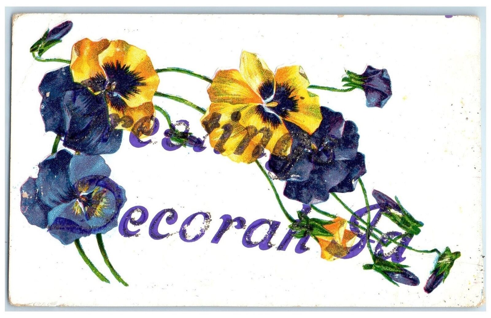c1950's Greetings From Decorah Purple Yellow Flower Iowa Correspondence Postcard