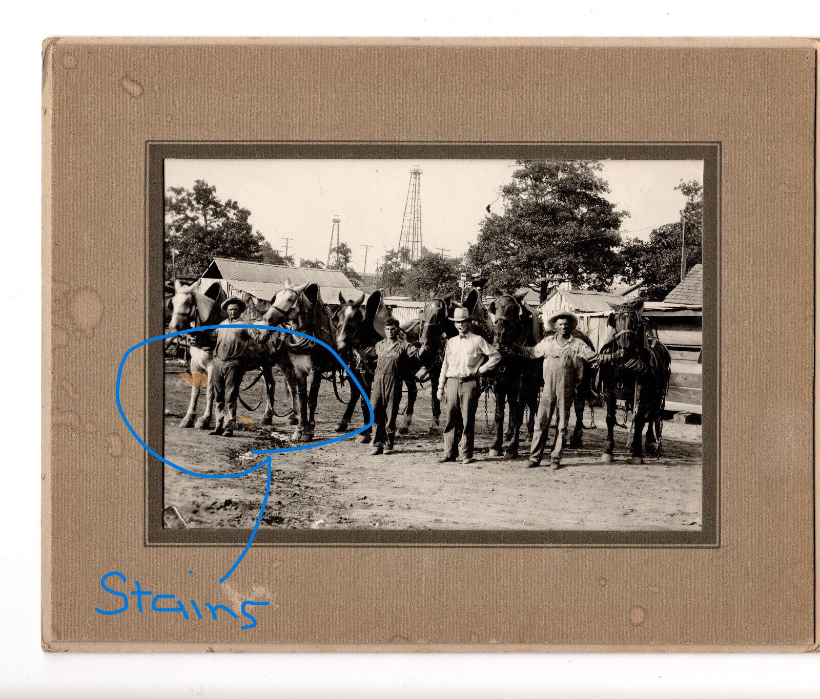 Vintage Antique Photograph  ~  Rancher & Work Hands with Draft Horses in Collars