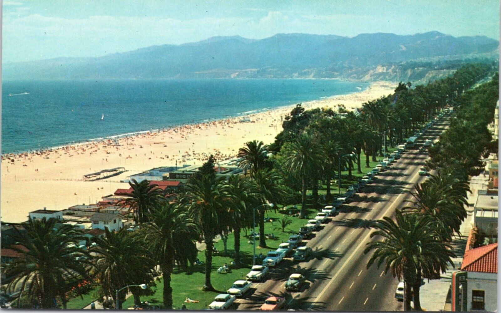 Postcard CA Santa Montica - Semi-aerial of palm lined Palisade Park