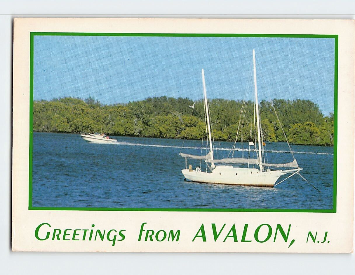 Postcard Greetings from Avalon New Jersey USA