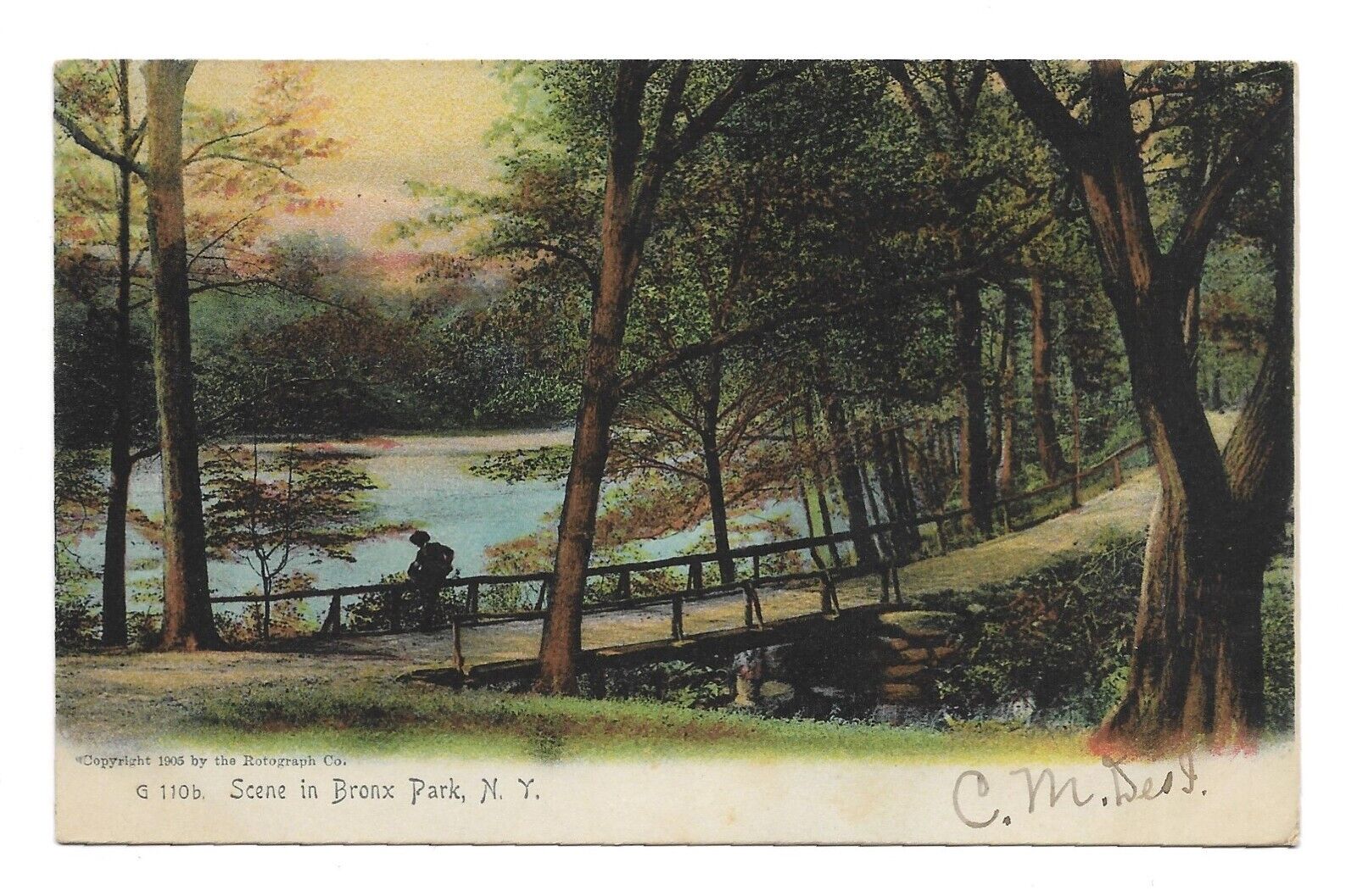 Scene in Bronx Park, New York NY - Vintage Postcard
