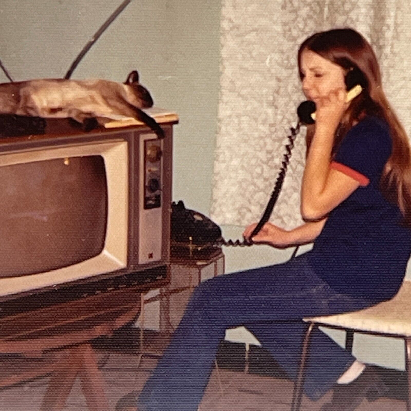 U8 Photograph Girl Talking On Corded Phone Siamese Cat Sleeping On Old TV