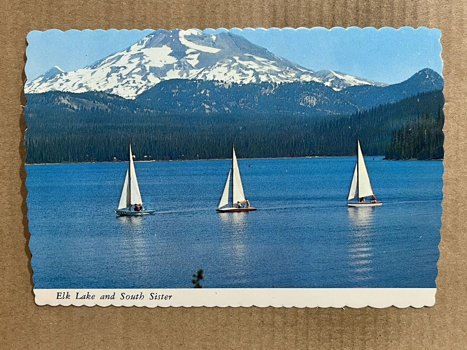 Postcard Oregon OR Elk Lake Sailboats South Sister Mountain Scenic View Vintage