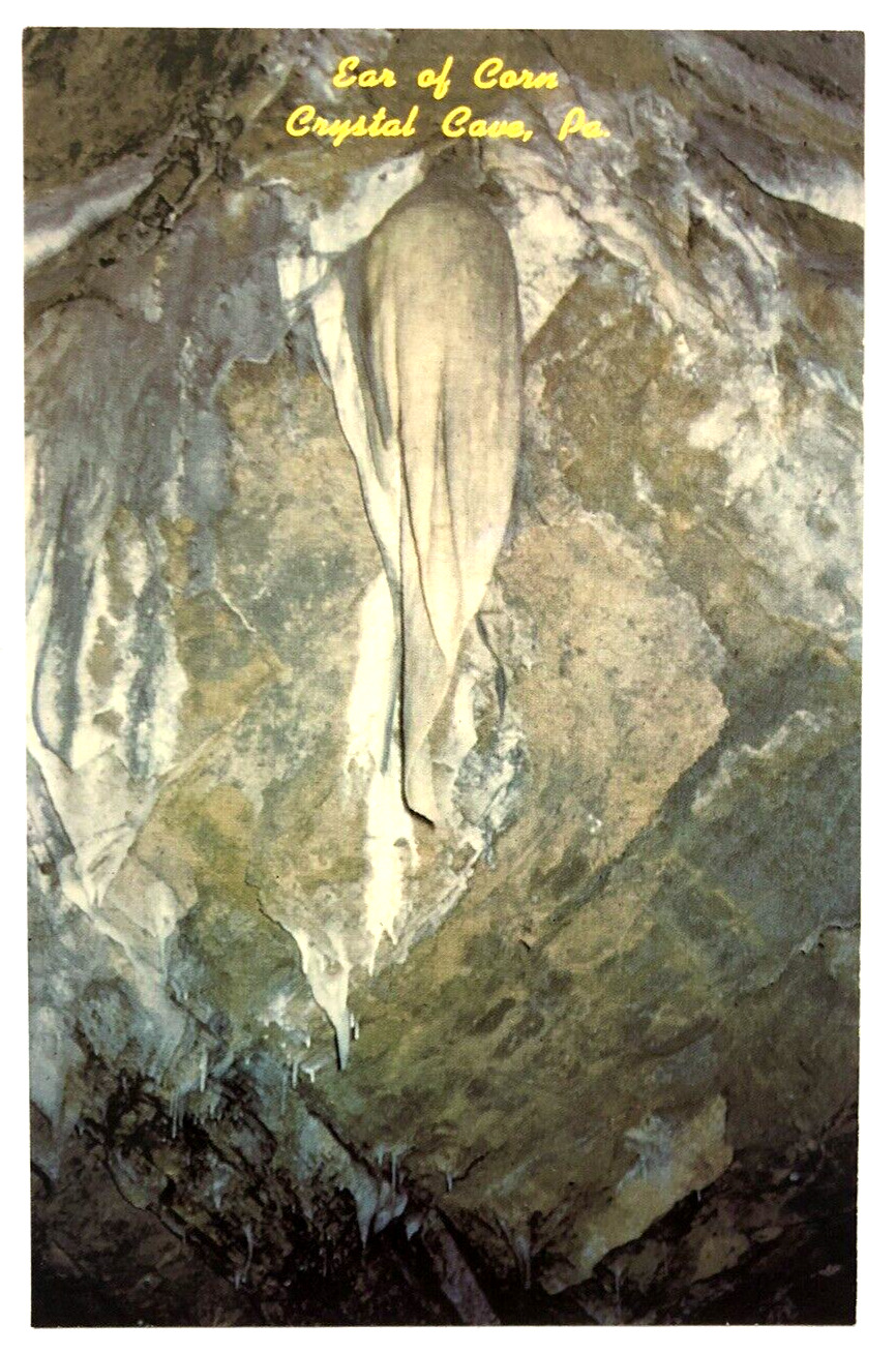 Ear of Corn Formation Crystal Cave, Kutztown Pa Pennsylvania Vintage Postcard