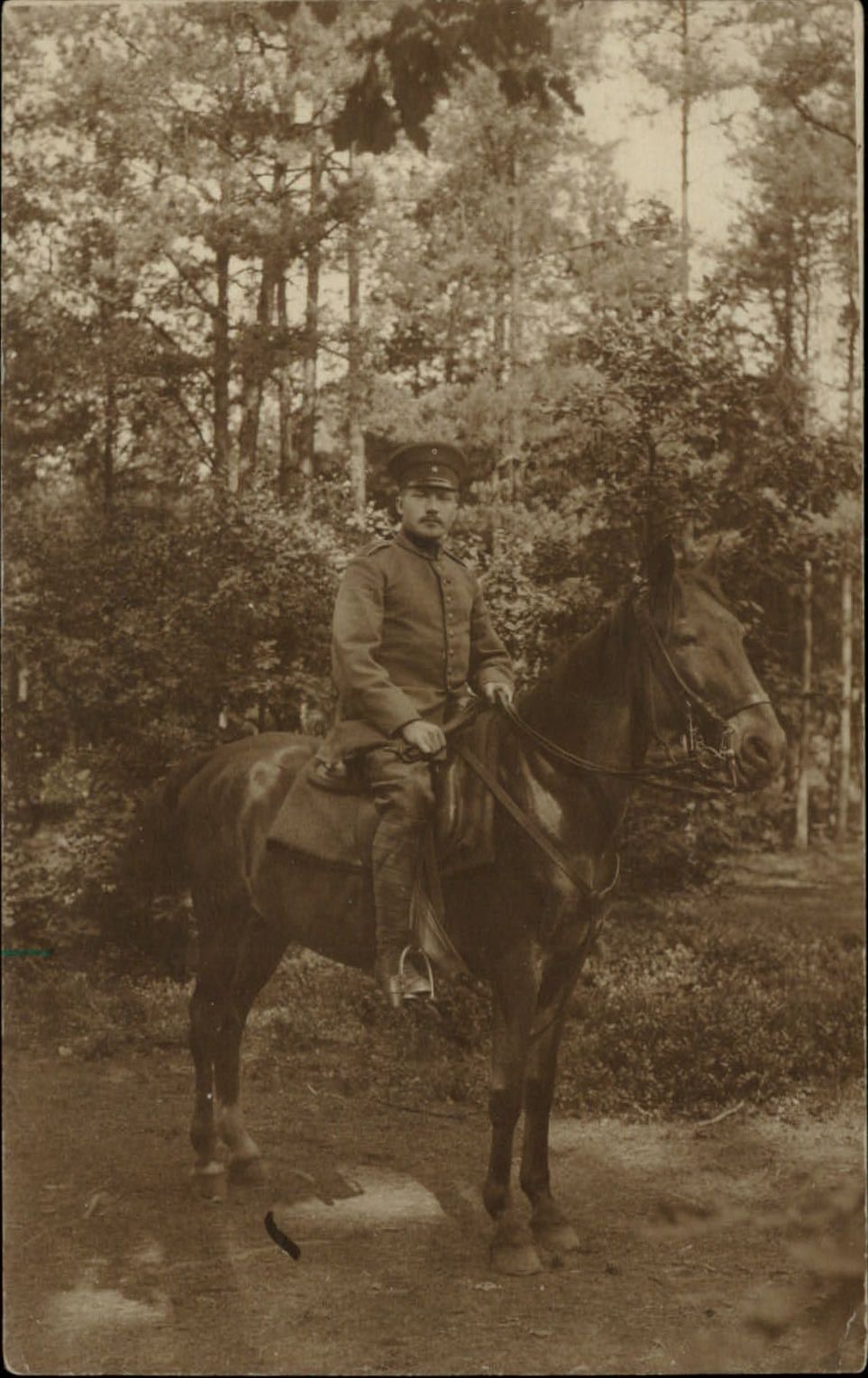 RPPC German Soldier horse horseback ~ 1917 real photo postcard sku929