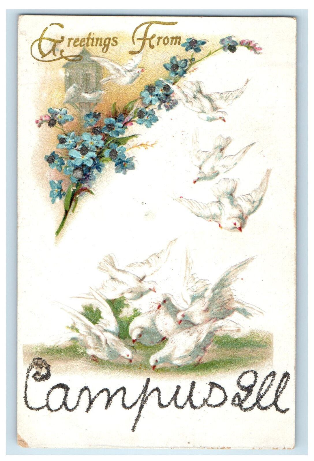 c1910 Doves and Flowers, Greetings from Campus Illinois IL Glitters Postcard