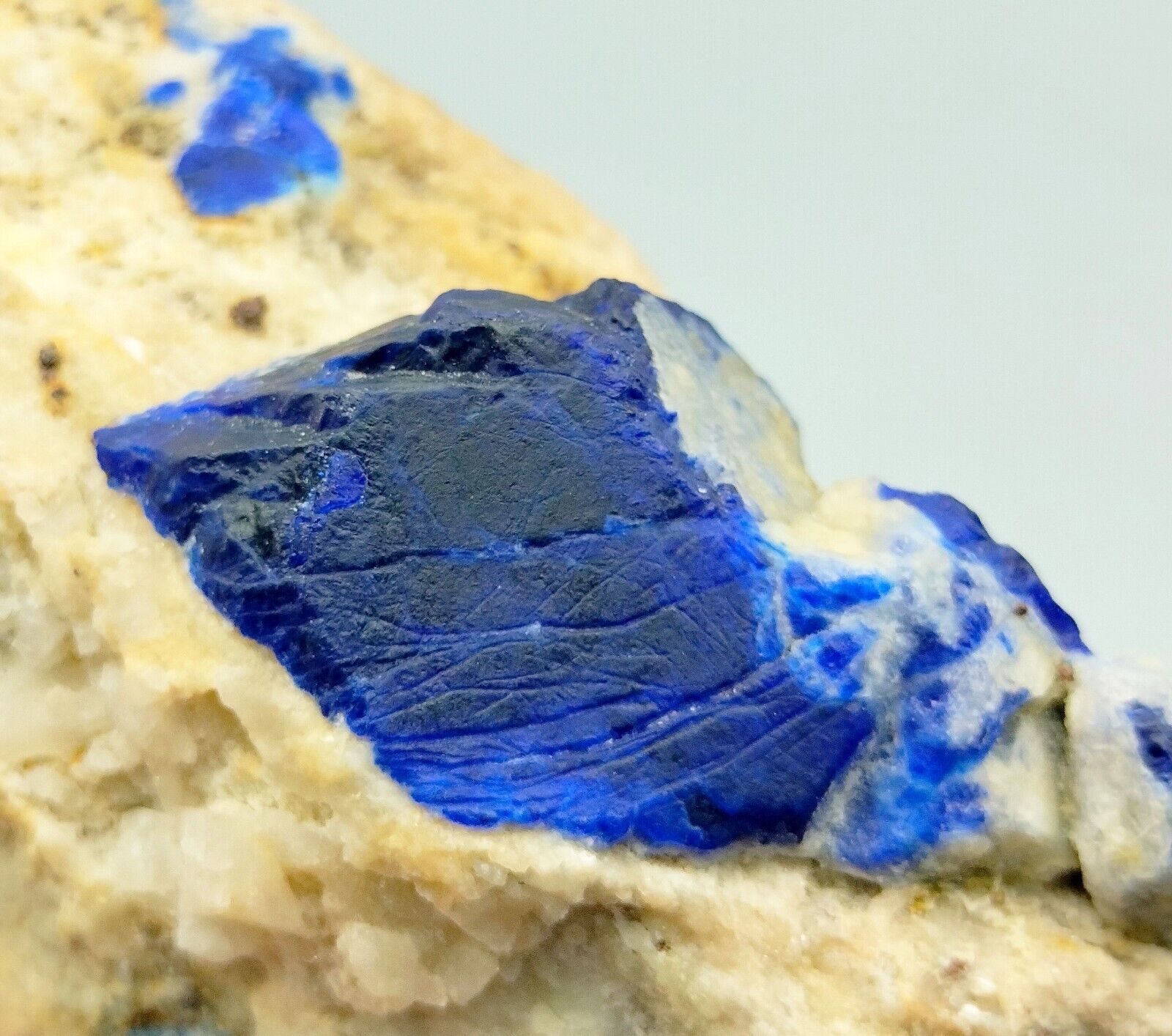 292 Gram Beautiful Rare Deep Blue Natural Lazurite Specimen~Afghanistan
